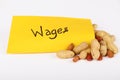 Minimum wages or low wages concept.