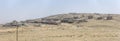 mining ghost town in desert, Kolmanskop, Namibia