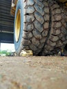 Mining tyre A2B Royalty Free Stock Photo