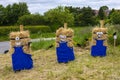 Minions Scarecrows in Nawton, North Yorkshire, UK