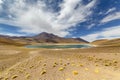 Miniques Lagoon in the Atacama Desert, Chile Royalty Free Stock Photo