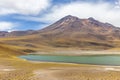 Miniques Lagoon in the Atacama Desert, Chile Royalty Free Stock Photo