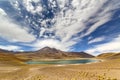 Miniques Lagoon in the Atacama Desert, Chile Royalty Free Stock Photo