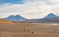 Miniques and Miscanti Lagoon area - Atacama Desert, Chile Royalty Free Stock Photo