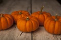 Miniture orange pumpkins. Royalty Free Stock Photo