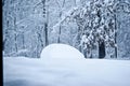 Minivan in Deep Snow