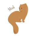 Mink . Child fun pattern icon.