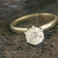 Mink and solitaire diamond sq Royalty Free Stock Photo