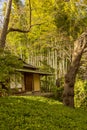 Minka Japanese House with Porch in the Woods Royalty Free Stock Photo