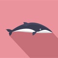 Minke whale icon, flat style