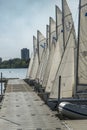 Laser sailing boats in Lake Minnetonka in Minneapolis, USA