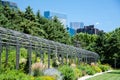 Minneapolis Skyline from the Sculpture Park Royalty Free Stock Photo