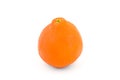 Minneola tangelo orange Royalty Free Stock Photo