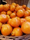 Minneola Tangelo Royalty Free Stock Photo