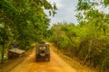 Minneria National Park Safari Tour