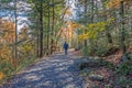 Hiking in brilliant fall foliage in the Catskill Mountain Foothills on a brilliant fall day Royalty Free Stock Photo