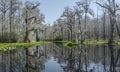 Minnies Lake Canoe Kayak Trail, Okefenokee Swamp National Wildlife Refuge Royalty Free Stock Photo