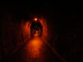 Minning tunnel at Karangahake Gorge, New Zealand Royalty Free Stock Photo