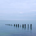 Minnis Bay Groyne Posts