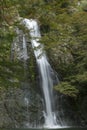 Mino waterfall in autumn foliage, Osaka, Japan Royalty Free Stock Photo