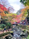 Minoh Waterfall In autumn