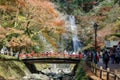 Minoh Waterfall in the autumn, Osaka, Kansai, Japan