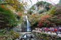 Minoh Waterfall in the autumn, Osaka, Kansai, Japan