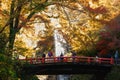 Minoh waterfall in autumn season, Osaka Japan, Beautiful waterfall in osaka japan, Minoh Park Royalty Free Stock Photo