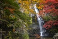 Minoh waterfall park with autumn red and yellow background