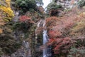 Minoo waterfall in autumn, Minoh park, Osaka, Japan Royalty Free Stock Photo