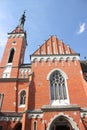 Minor Basilica in WÃâ¦wolnica (Poland).