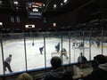 Minor league ice hockey