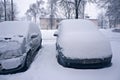 Minsk, Belarus - January 11, 2016: Snow on cars after snowfall