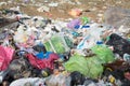 MINSK, BELARUS - March 20, 2020: sanitary landfill inside forest - garbage dump
