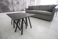 Luxure hall interior loft flat in grey style design with sofa and table