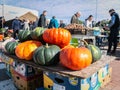 Minsk. Belarus. 10.15.2022. Pumpkins lie on the counter of the agricultural market at Chizhovka Arena. Pumpkin ordinary. Green and