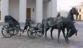 Minsk. Belarus. Sculpture in the center of city