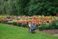 Artist paints beautiful dahlia flowers in the botanical garden.