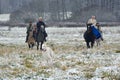 Re-enactment of the traditional hunting with russian wolfhounds Royalty Free Stock Photo