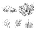Mint, basil, root of ginger, paprika.Herbs and spices set collection icons in outline style vector symbol stock