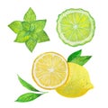 mint, bergamot and lemon