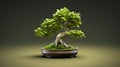 Mint Bonsai Tree: English Bitter Minimalist Desktop Wallpaper In Hd