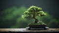 Mint Bonsai Tree: Transcendentalist Themes In English Bitter Minimalist Style
