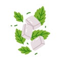 Mint Bubble Gum Pads with Spearmint Leaf as Sweet Chewing Gum Vector Illustration