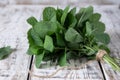 Mint. Bunch of Fresh green organic mint leaf on wooden table closeup. Selective focus. Royalty Free Stock Photo