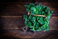 Mint. Bunch of fresh green organic mint leaf on wooden table closeup. Royalty Free Stock Photo