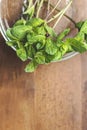 Mint. Bunch of Fresh green organic mint leaf on wooden table closeup Royalty Free Stock Photo