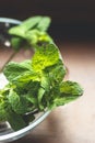 Mint. Bunch of Fresh green organic mint leaf on wooden table closeup Royalty Free Stock Photo