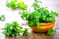 Mint. Bunch of fresh green organic mint leaf on wooden table Royalty Free Stock Photo