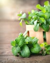 Mint. Bunch of fresh green organic mint leaf on wooden table Royalty Free Stock Photo